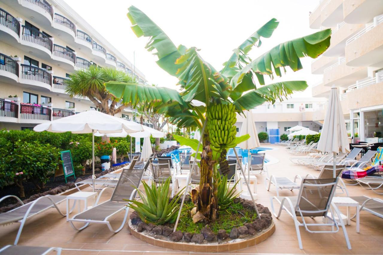 Adults Only Sunny Quiet Apartment In Center Of Las Americas Arona  Kültér fotó
